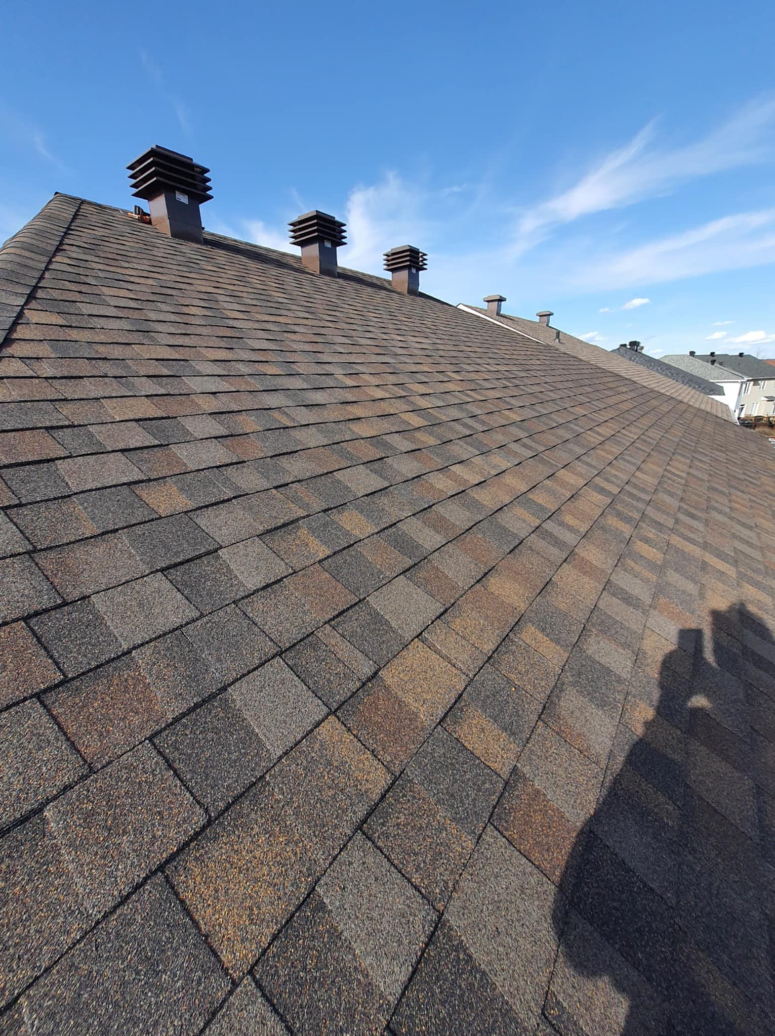 Vanessa — Founder of Guns N' Hoses Roofing Ottawa